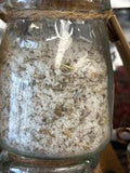 Herbes de Provence Fleur de Sel